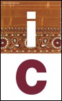 Logo Informe de conjuntura de Terrassa 2006