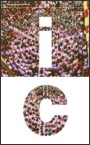 Logo Informe de conjuntura de Terrassa 2010