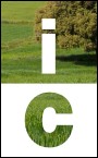 Logo Informe de conjuntura de Terrassa 2013