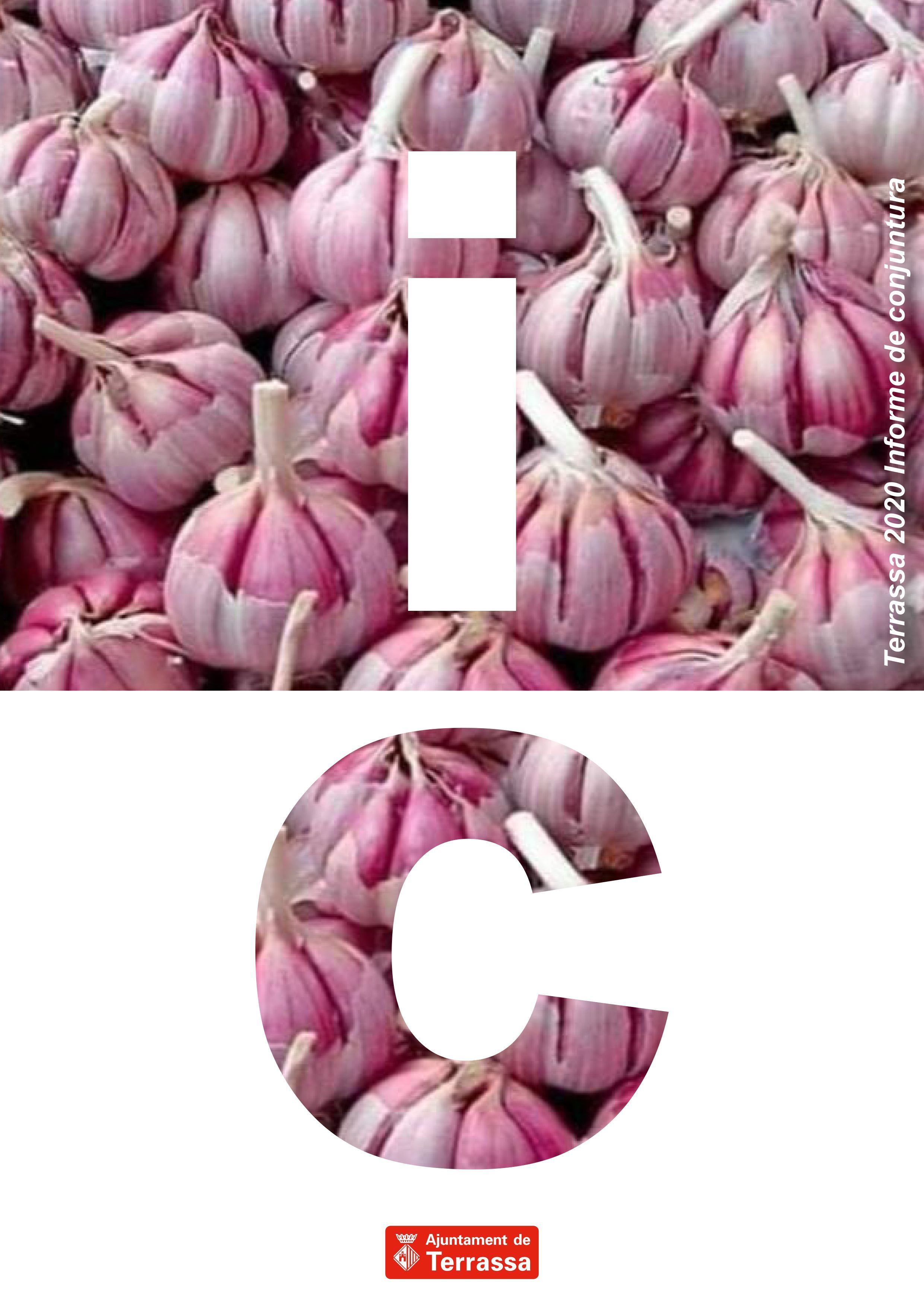 Logo Informe de conjuntura de Terrassa 2021