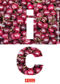 Logo Informe de conjuntura de Terrassa 2023