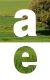 Imatge Anuari Estadistic 2013