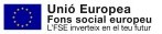 Unió Europea, Fons Social Europeu